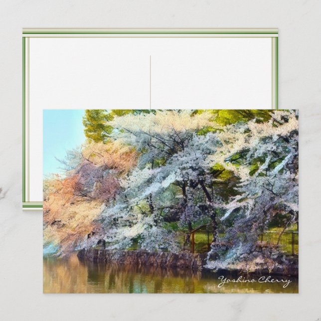 Cartão Yoshino Cherry: Flat Card (Frente/Verso)