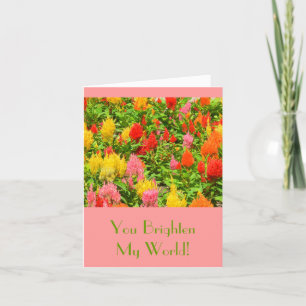 CARTÃO "YOU BRIGHTEN MY WORLD"/ANNIVERSARY CARD/CELOSIA