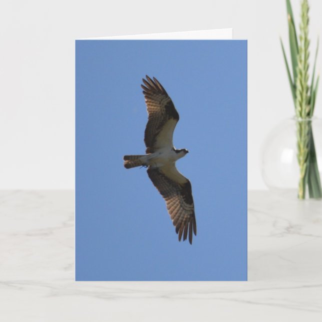 Cartão "You Can Fly!" Greeting Card, Poem Inside (Frente)