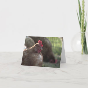 Cartão You Lookin' At Me? Note Cards