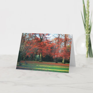 Cartão You Say It Best Greetings Card