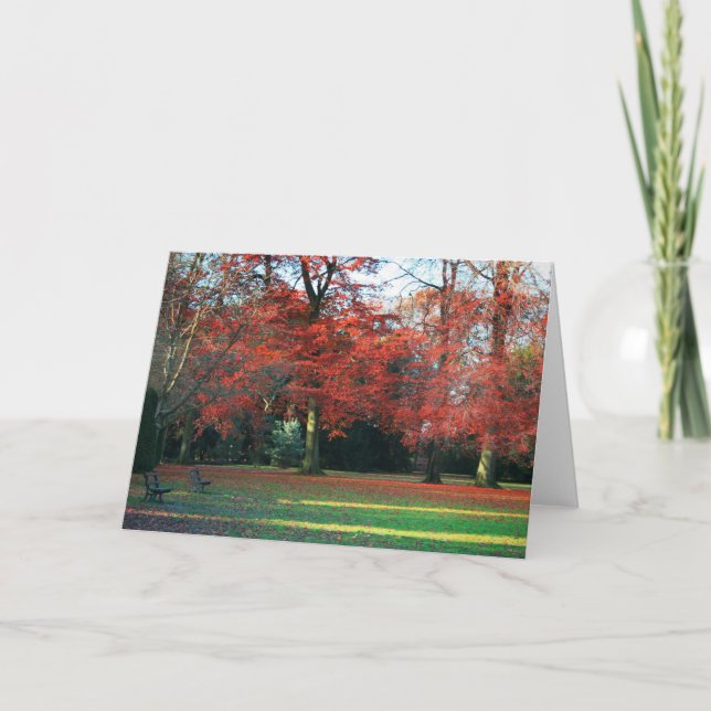 Cartão You Say It Best Greetings Card (Frente)