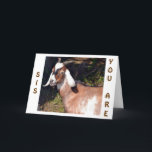 CARTÃO YOUNG AT HEART SISTER FOR YOUR BIRTHDAY<br><div class="desc">THIS GOAT WILL BE SURE TO LET "YOUR SISTER" KNOW HOW "YOUNG AT HEART" YOU KNOW SHE IS AND WILL LOVE YOU EVEN MORE FOR SENDING THIS CARD ON HER VERY SPECIAL DAY!</div>