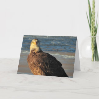 Cartão Young Bald Eagle on the Beach Birthday Card