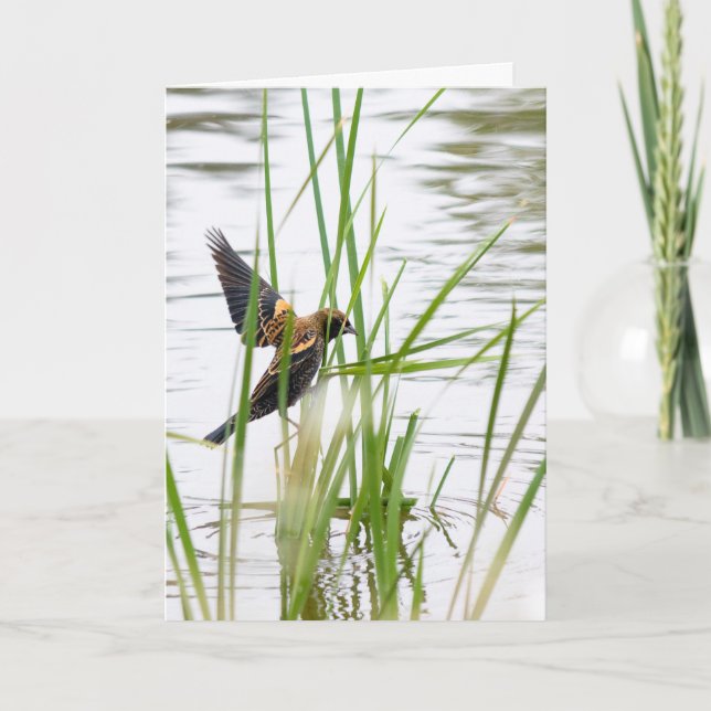 Cartão Young Bird in Flight (Frente)