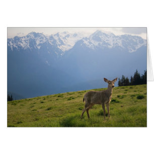 Cartão Young Buck e picos do Monte Olimpo
