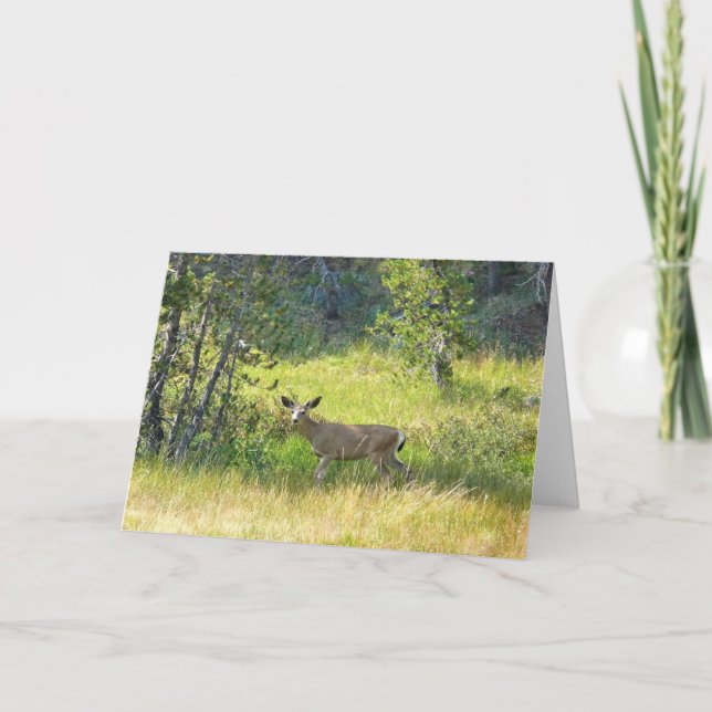 Cartão Young Buck em Yosemite, Califórnia (Frente)