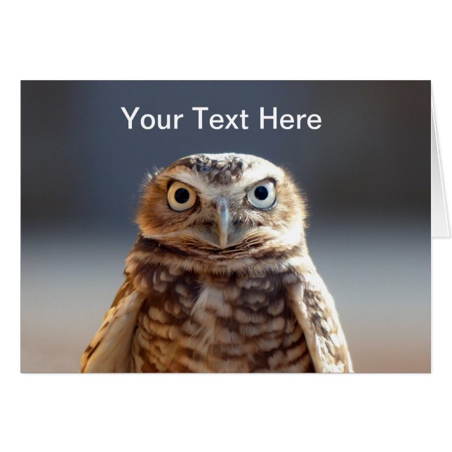 Cartão Young Burrowing Owl (Frente Horizontal)