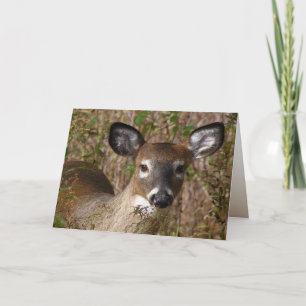 Cartão Young Deer Dia del Padre