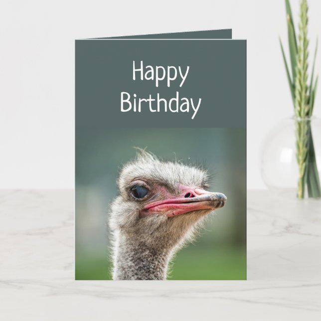 Cartão Young Once Your Turn Over Judgemental Ostrich (Frente)