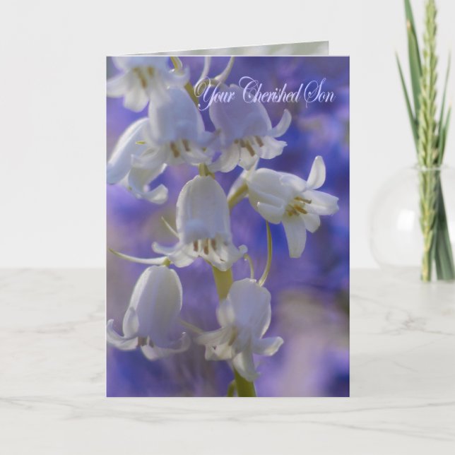 Cartão Your Cherished Son, sympathy card (Frente)