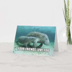 Cartão "Your Friends Love You" Calming Manatee Card