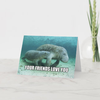 Cartão "Your Friends Love You" Calming Manatee Card
