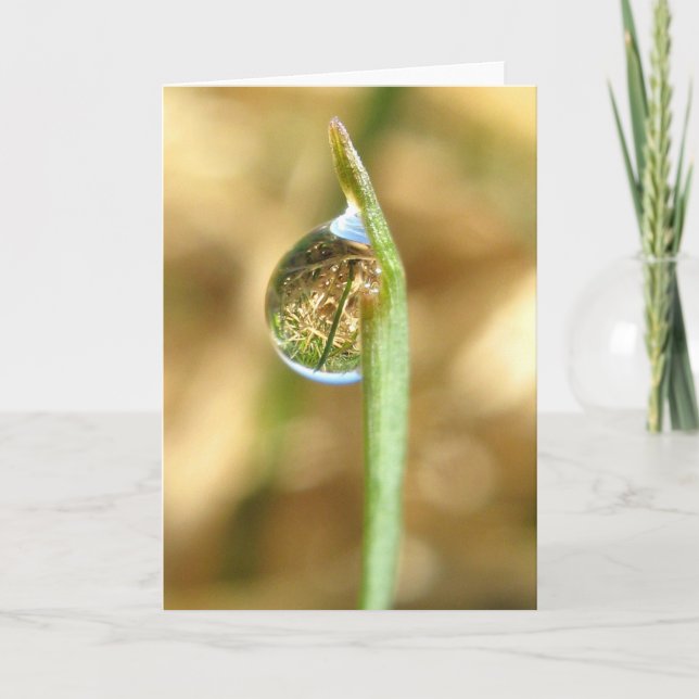 Cartão Your World Turned Upside Down Card (Frente)