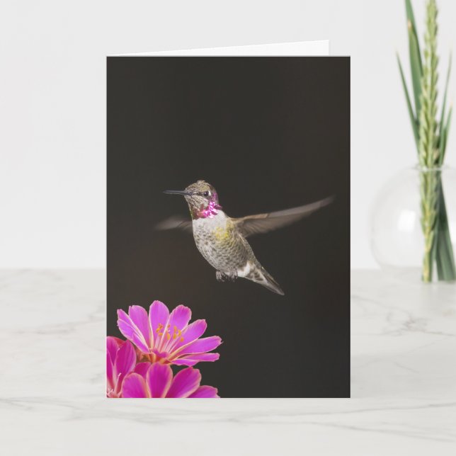 CARTÃO YOU'RE A HUMMER BIRTHDAY CARD (Frente)