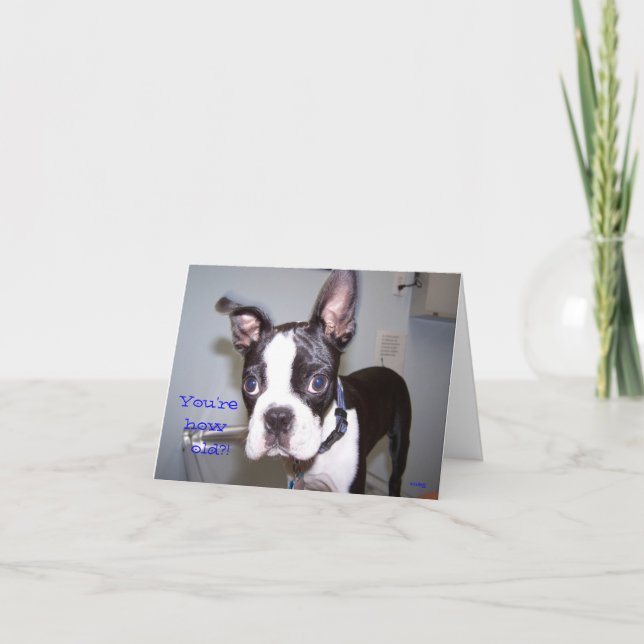 Cartão You're How Old?! (Frente)