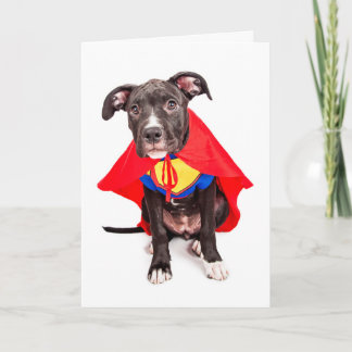 Cartão You're My Hero Greeting Card