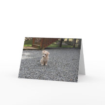 You're Not Alone Greeting Card