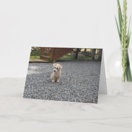 Cartão You're Not Alone Greeting Card