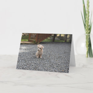 Cartão You're Not Alone Greeting Card