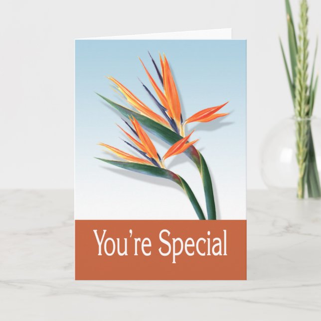 Cartão You're Special Greeting Card (Frente)