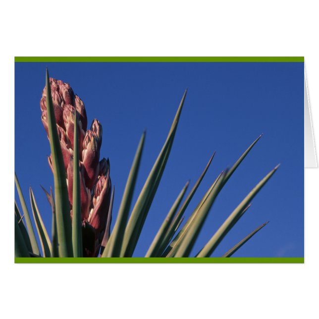 Cartão Yucca em chamas (Frente Horizontal)