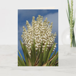 Cartão Yucca, Flores, Saudação ao Vazio Sudoeste