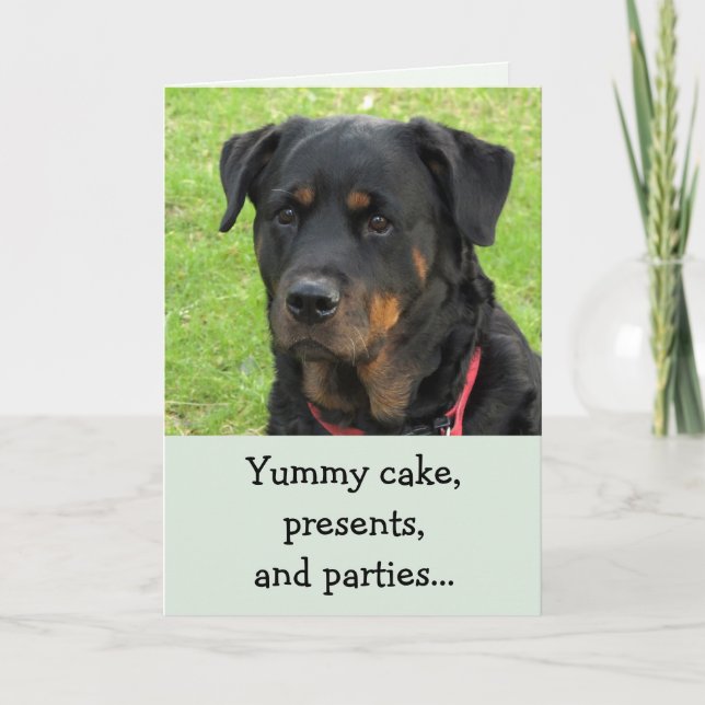 Cartão Yummy Cake Rottweiler Birthday Card (Frente)