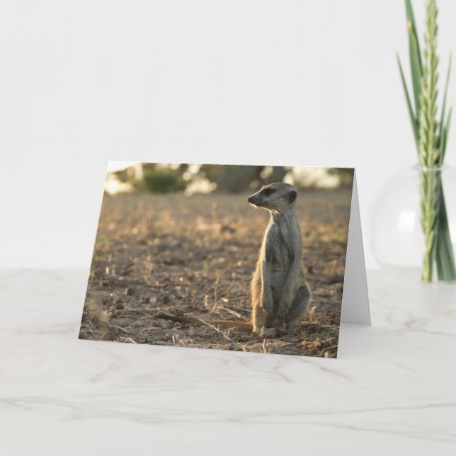 Cartão Zaphod 12th Birthday card 1 (Frente)