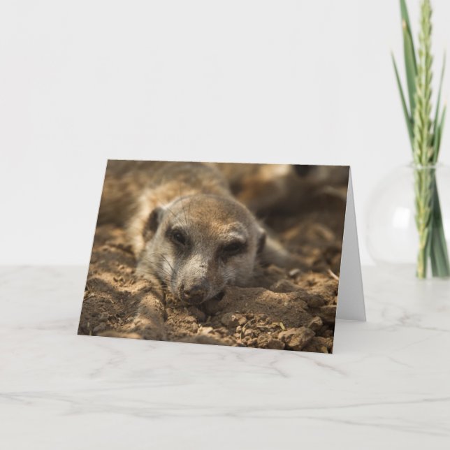 Cartão Zaphod's 12th Birthday Card 4 (Frente)