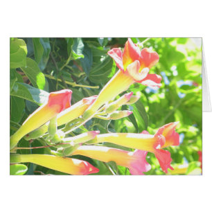 Cartão Zazzle 1