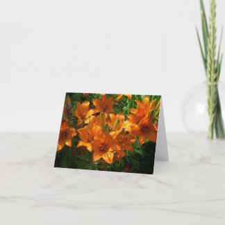 Cartão Zazzle Orange Floral Vazio Notecard