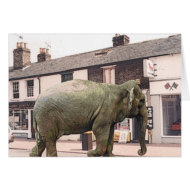 Cartão ze elefan (Frente Horizontal)