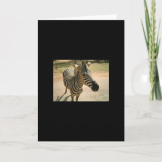 Cartão Zebra
