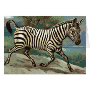 Cartão Zebra