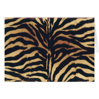 CARTÃO ZEBRA AFRICANA SELVAGEM DO FALSO