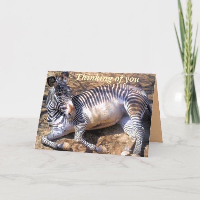 Cartão Zebra do amor_ (Frente)