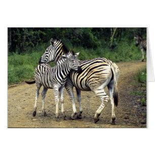 Cartão zebra e bebê