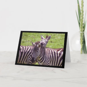 Cartão Zebra Greeting Card