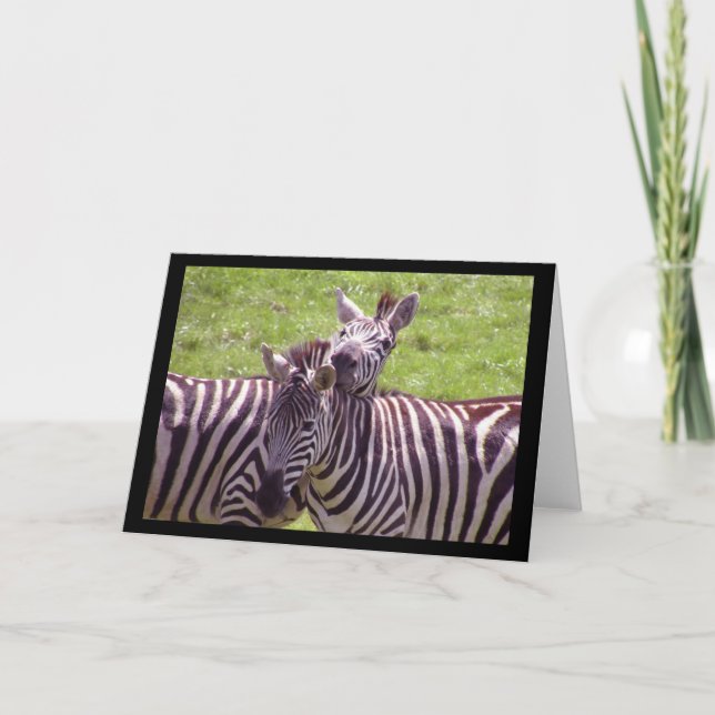 Cartão Zebra Greeting Card (Frente)