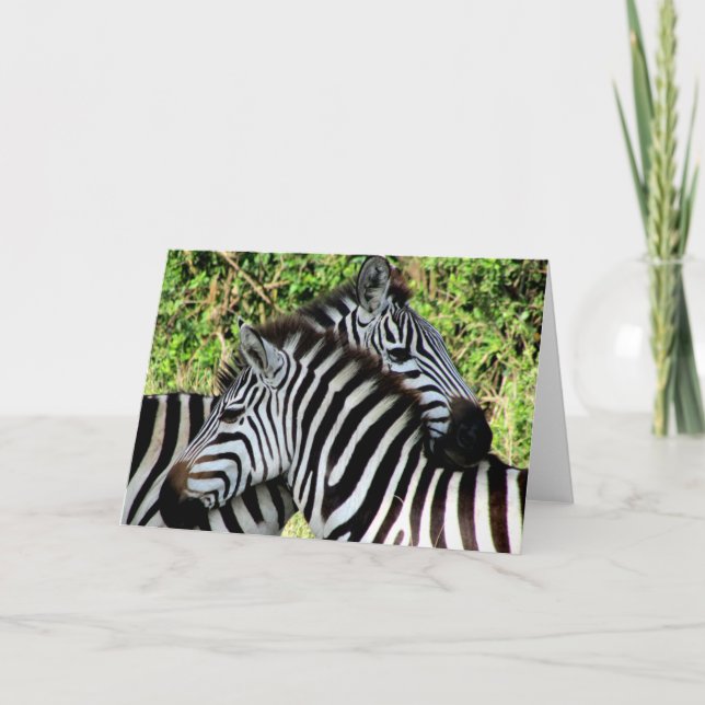 Cartão zebra snuggles (Frente)