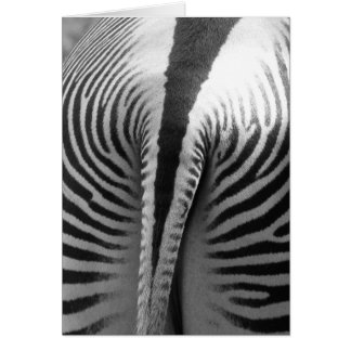 Cartão Zebra Tail