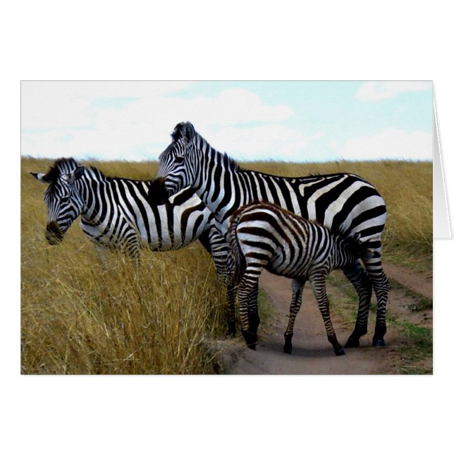 CARTÃO ZEBRAS E BABY ZEBRA (Frente Horizontal)