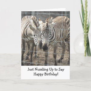 Cartão Zebras Nuzzling