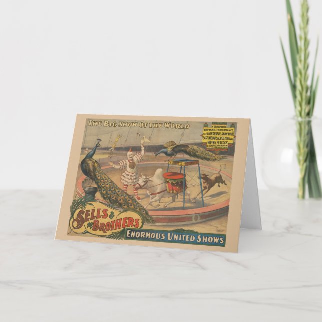 Cartão Zebu E Pavão Com Treinador De Palhaços (Frente)