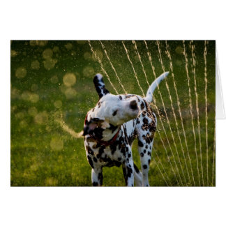 Cartão Zeke em Sprinkler