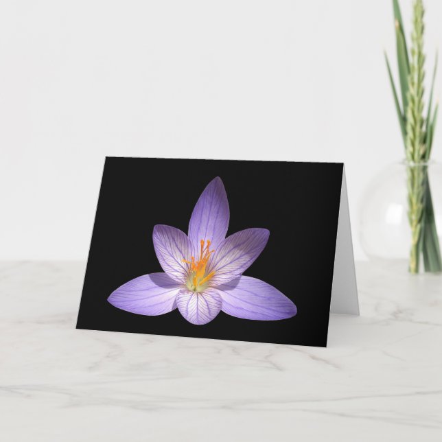 Cartão Zen Flower Blank Greeting Card (Frente)