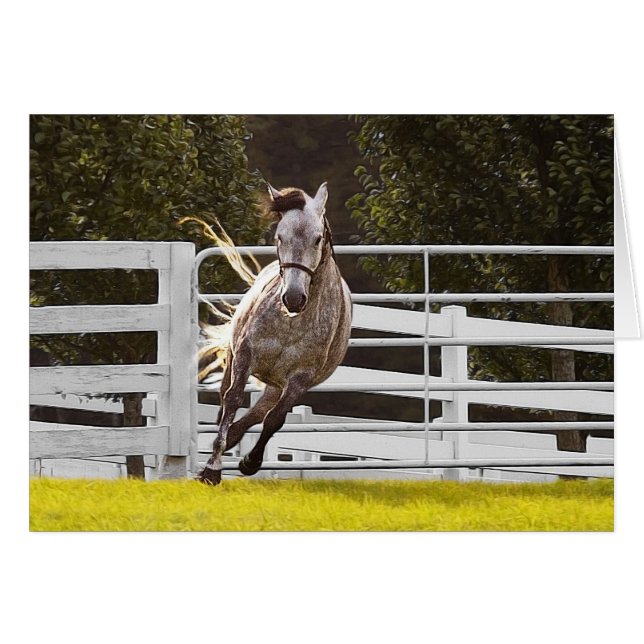 Cartão Zest For Life (Frente Horizontal)