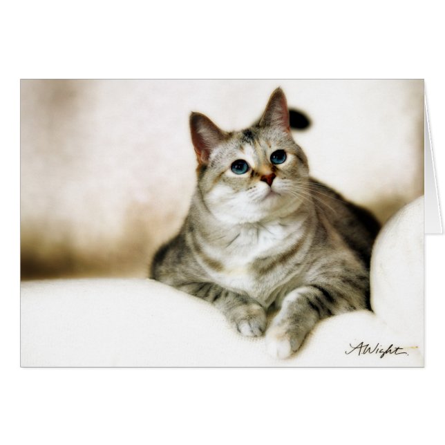 Cartão Zilla em tons de Brown (Frente Horizontal)