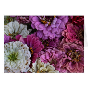 Cartão Zinnias